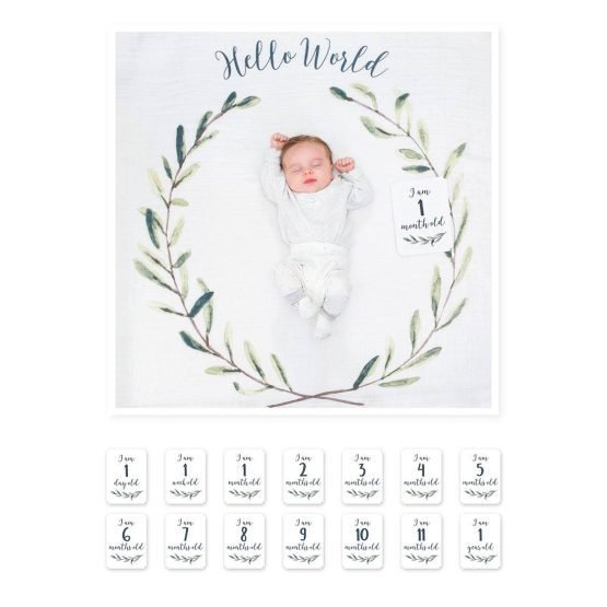 Baby’s First Year – Hello World Wreath